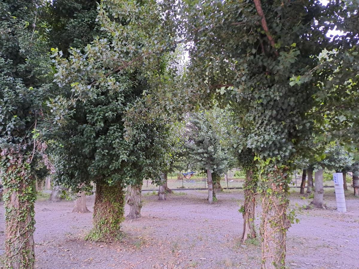 Camping Valle Del Andarax Fondón المظهر الخارجي الصورة