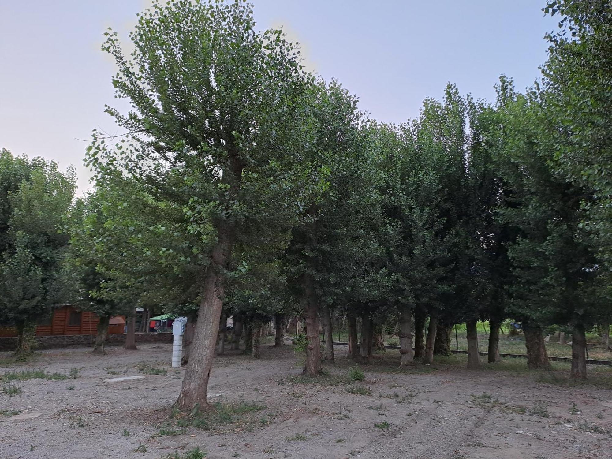 Camping Valle Del Andarax Fondón المظهر الخارجي الصورة