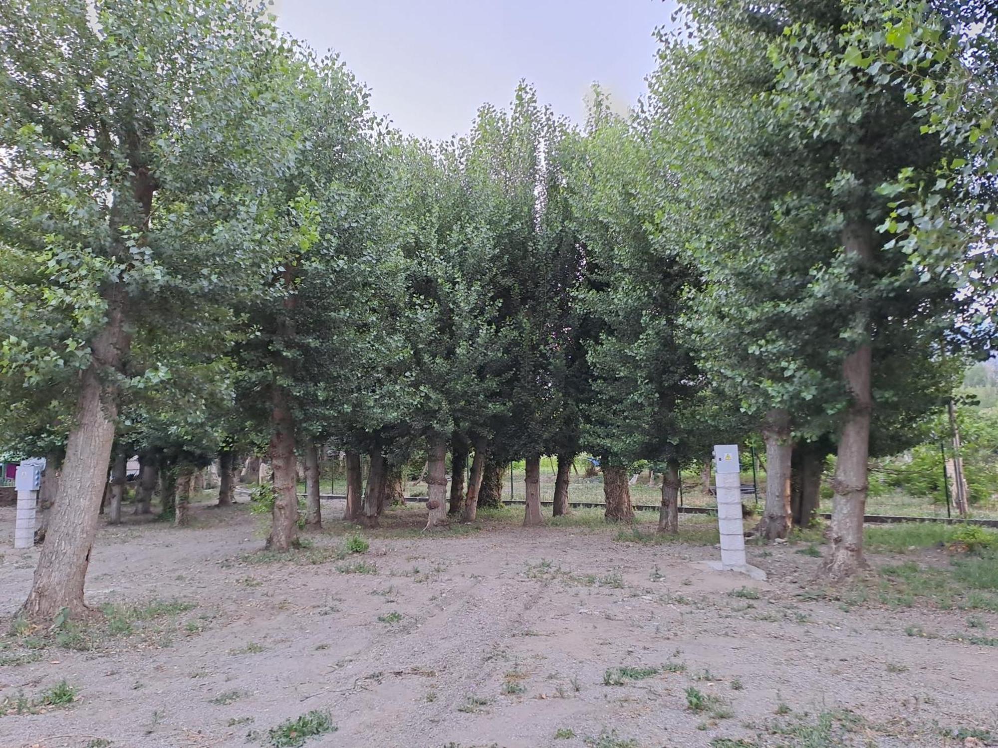 Camping Valle Del Andarax Fondón المظهر الخارجي الصورة